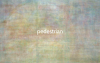 The Color of Pedestrian
